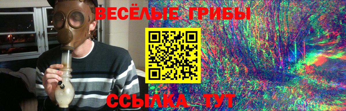 Галлюциногенные грибы Psilocybe  Вход с VPN  Шахты 