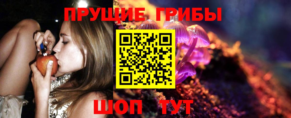 Псилоцибиновые грибы прущие грибы Шахты