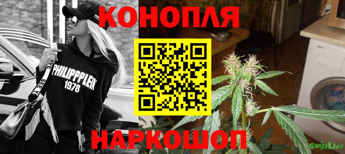 Каннабис SATIVA & INDICA Шахты